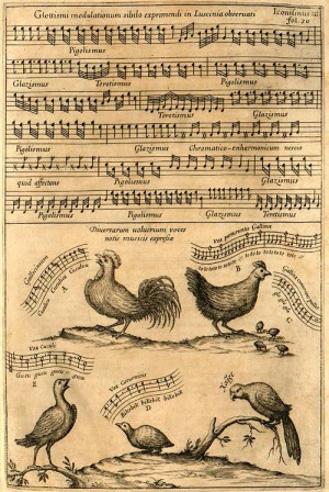 موسیقی و پرندگان